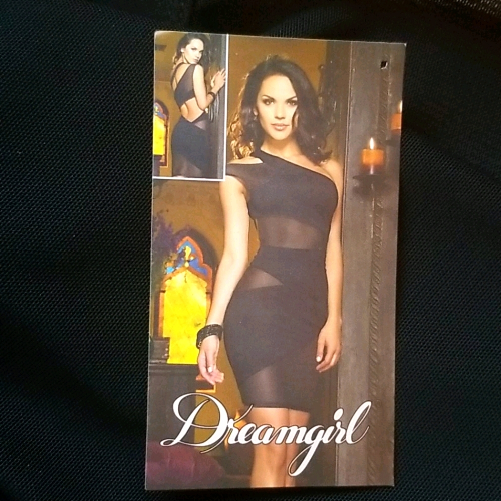Dreamgirl black mesh lingerie / dress